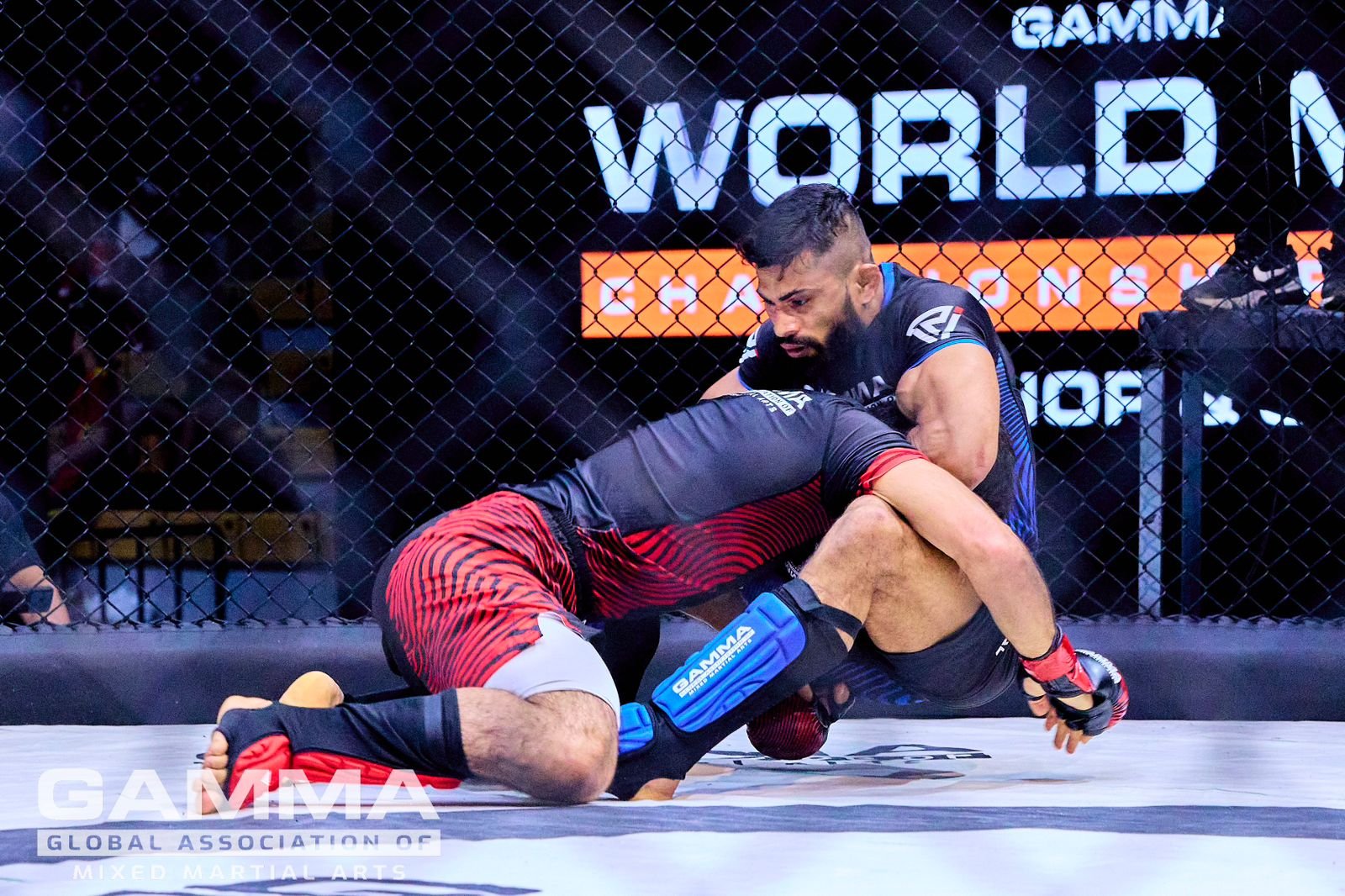 MIXED MARTIAL ARTS